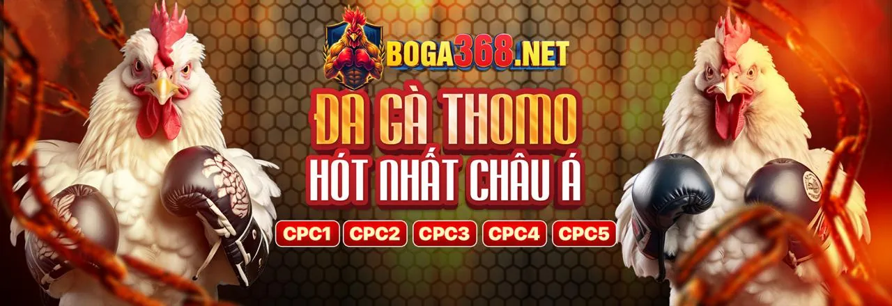 Đá Gà Trực Tuyến Hấp Dẫn tại 123b Bắn Cá
